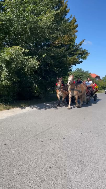 Dożynki Parafialne 2026 w Żdanowie przechodzą do historii, a popołudniowa zabawa po prostu ROZWALIŁA SYSTEM! 💥 Kto był, ten wie, że KGGW „Nowa Era” wyznacza nowe standardy! 💪✨ Ekipa serwowała po prostu MISTRZOWSKI poziom: 🔥 Gorące kiełbaski z grilla i absolutnie LEGENDARNY bigos, 🍰 Pyszne, domowe ciacha i chłodzące napoje, 🎈 A dla dzieciaków… gigantyczny dmuchaniec i szaleństwo do utraty tchu! Największe brawa należą się SŁUŻBIE I EKIPIE KGW NOWA ERA – pracowałyście i pracowaliście na medal, zawsze z uśmiechem na twarzy! 👏👑 Dziękujemy Sołtysowi, Radzie Sołeckiej i każdemu, kto bawił się razem z nami. Żdanów potrafi się bawić! Nowa Era Kgw Żdanów Diecezja Zamojsko-Lubaczowska Grzegorz Halas Żdanów OSP Żdanówek Sołectwo Skokówka Katolickie Radio Zamość